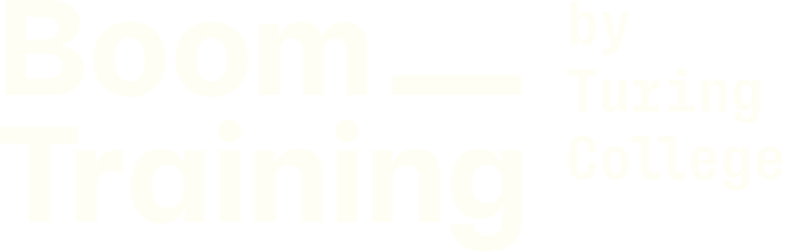 Boom Training by Turing College